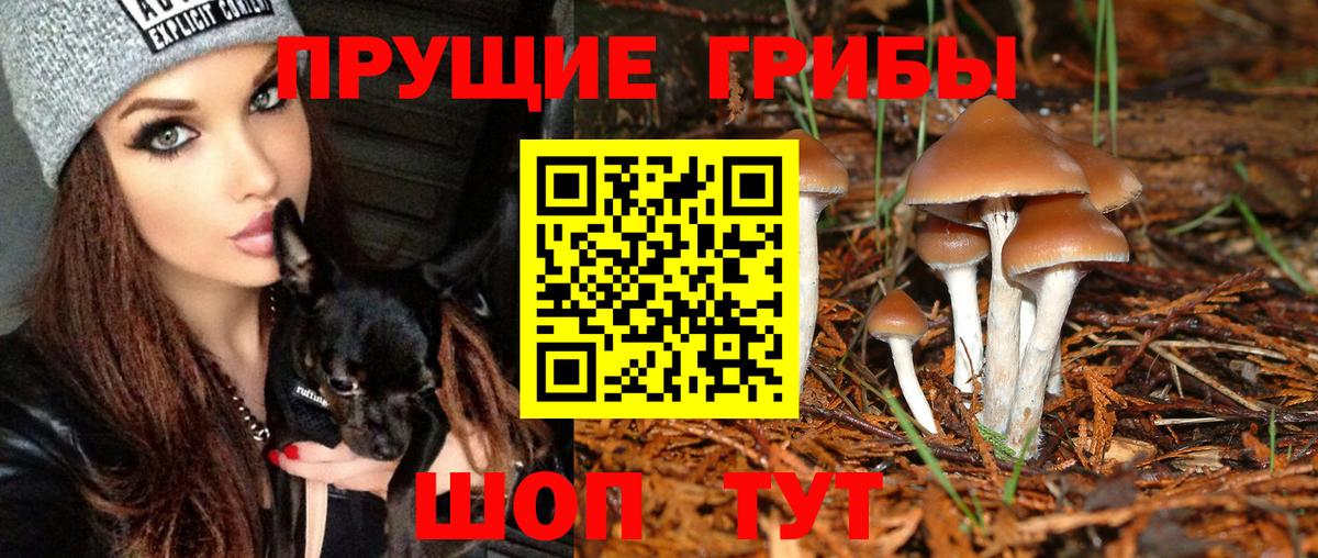 Галлюциногенные грибы прущие грибы  Вход с VPN  Кемерово 